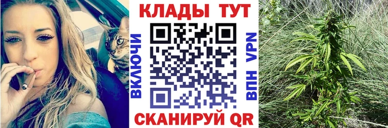 Где купить наркотики Орёл Героин  Меф мяу мяу  Псилоцибиновые грибы  ГАШИШ  Альфа ПВП 