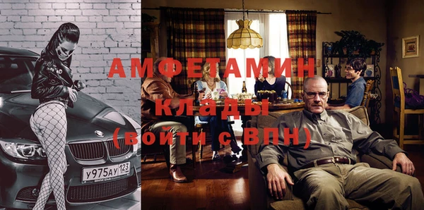 ГАЛЛЮЦИНОГЕННЫЕ ГРИБЫ Инта