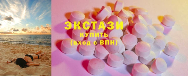 соль ск Инсар