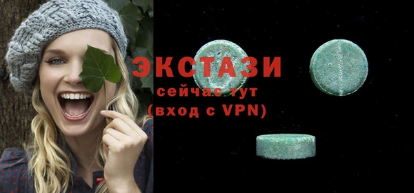 соль ск Инсар