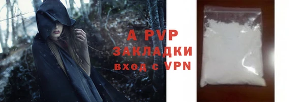 ГАЛЛЮЦИНОГЕННЫЕ ГРИБЫ Инта
