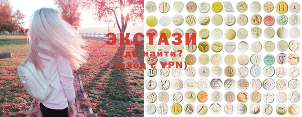 соль ск Инсар